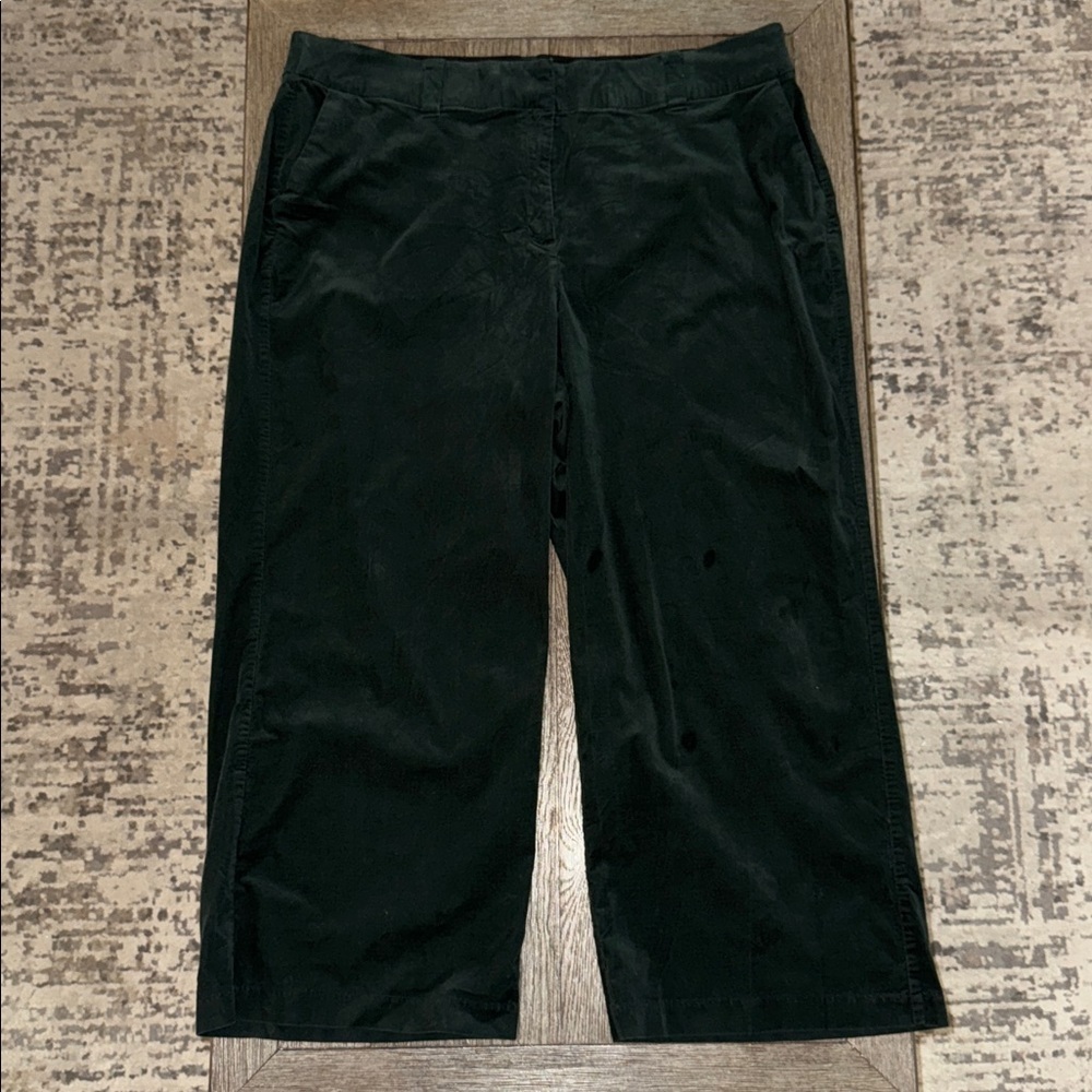 Lane Bryant Corduroy Trouser Pants in Green 22 Short